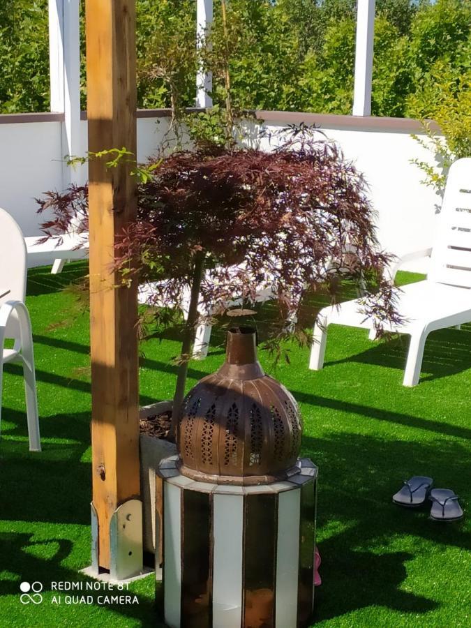 Kristalex Pet Family Hotel