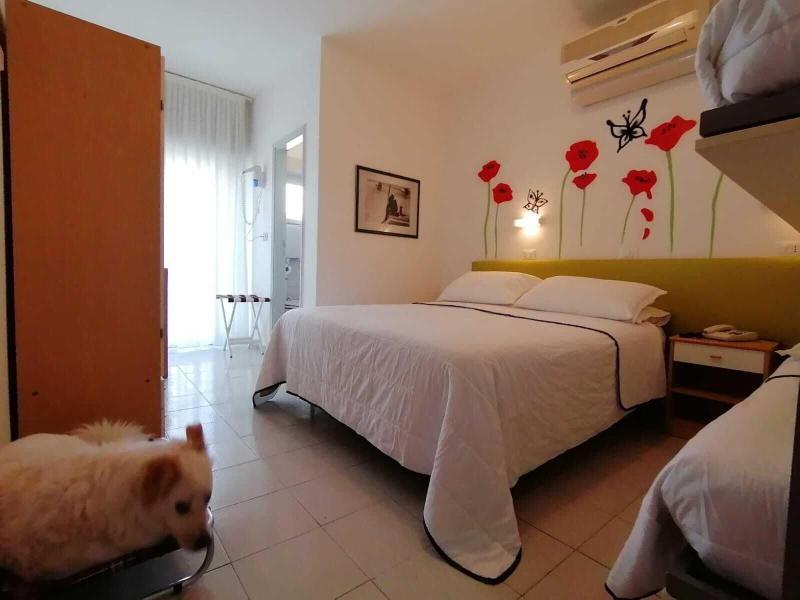 Kristalex Pet Family Hotel Cesenatico